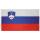 Flag, Slovenia, polyester, 90 x 150 cm